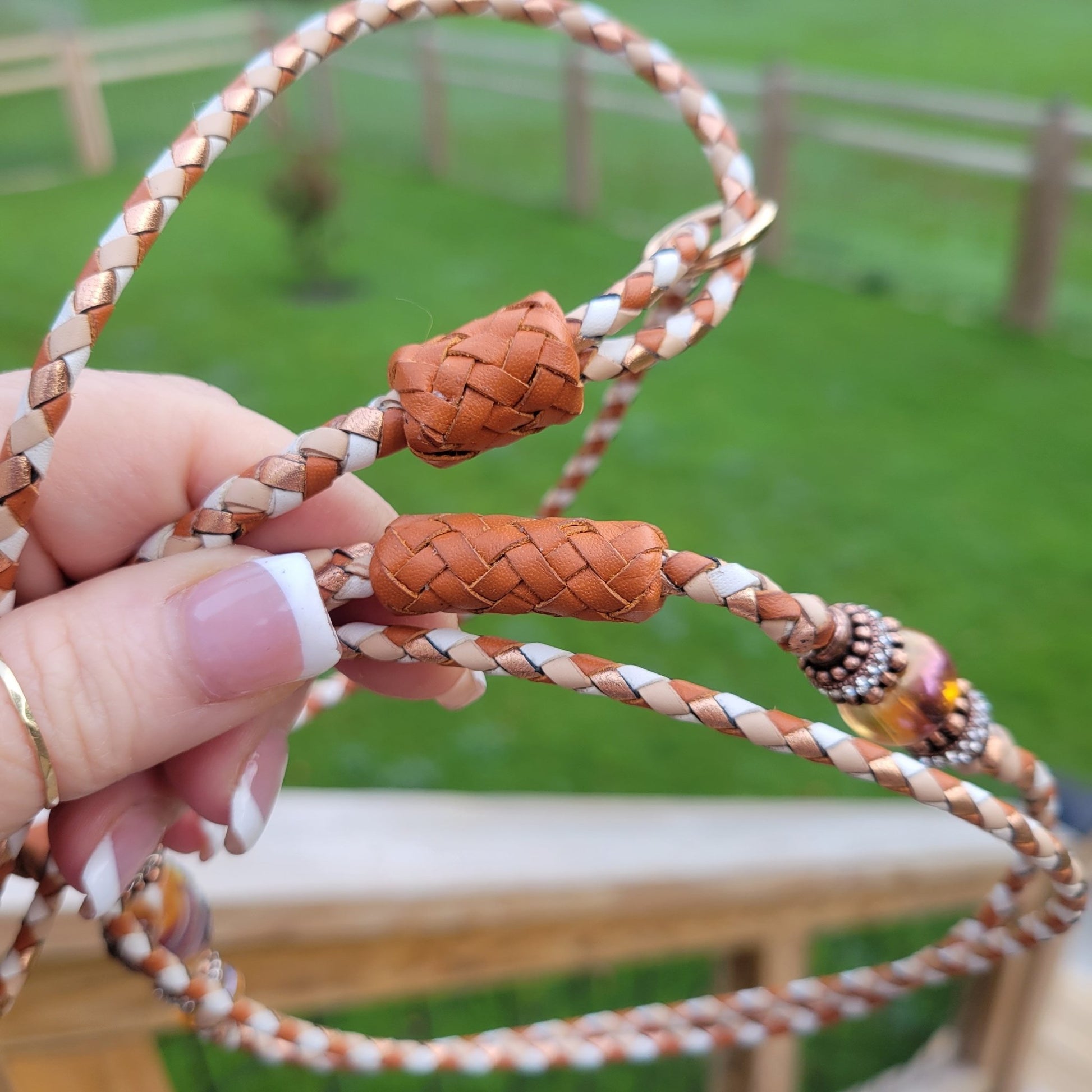 Decorative Options - ChampionShowLeads