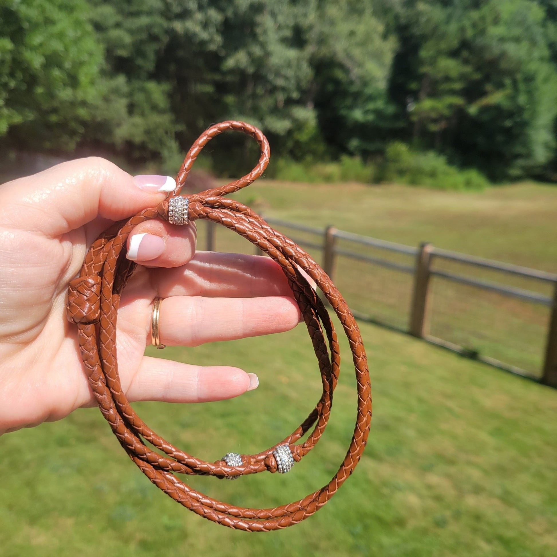 Decorative Options - ChampionShowLeads