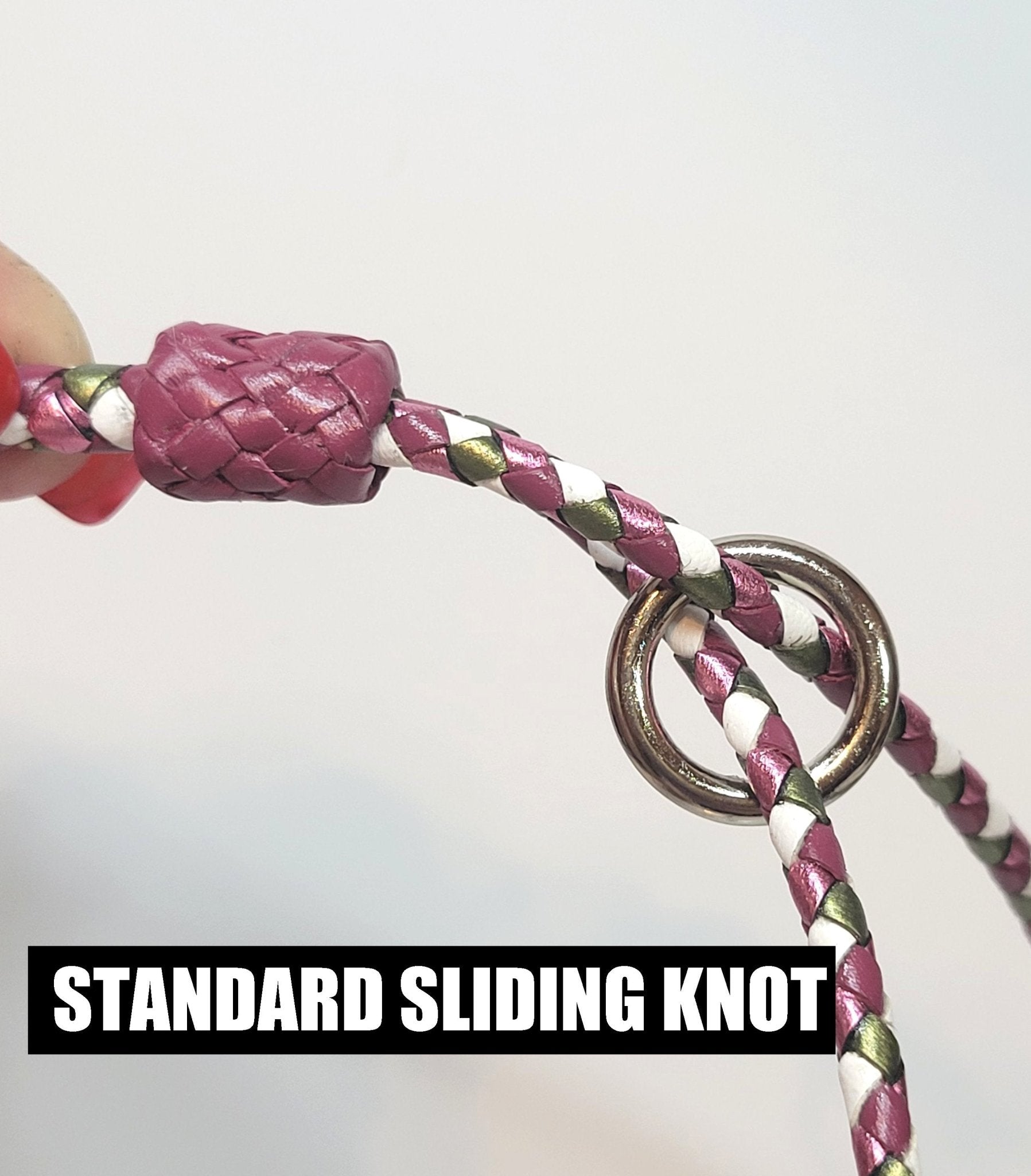 Decorative & Other Options - Champion Show Leads
