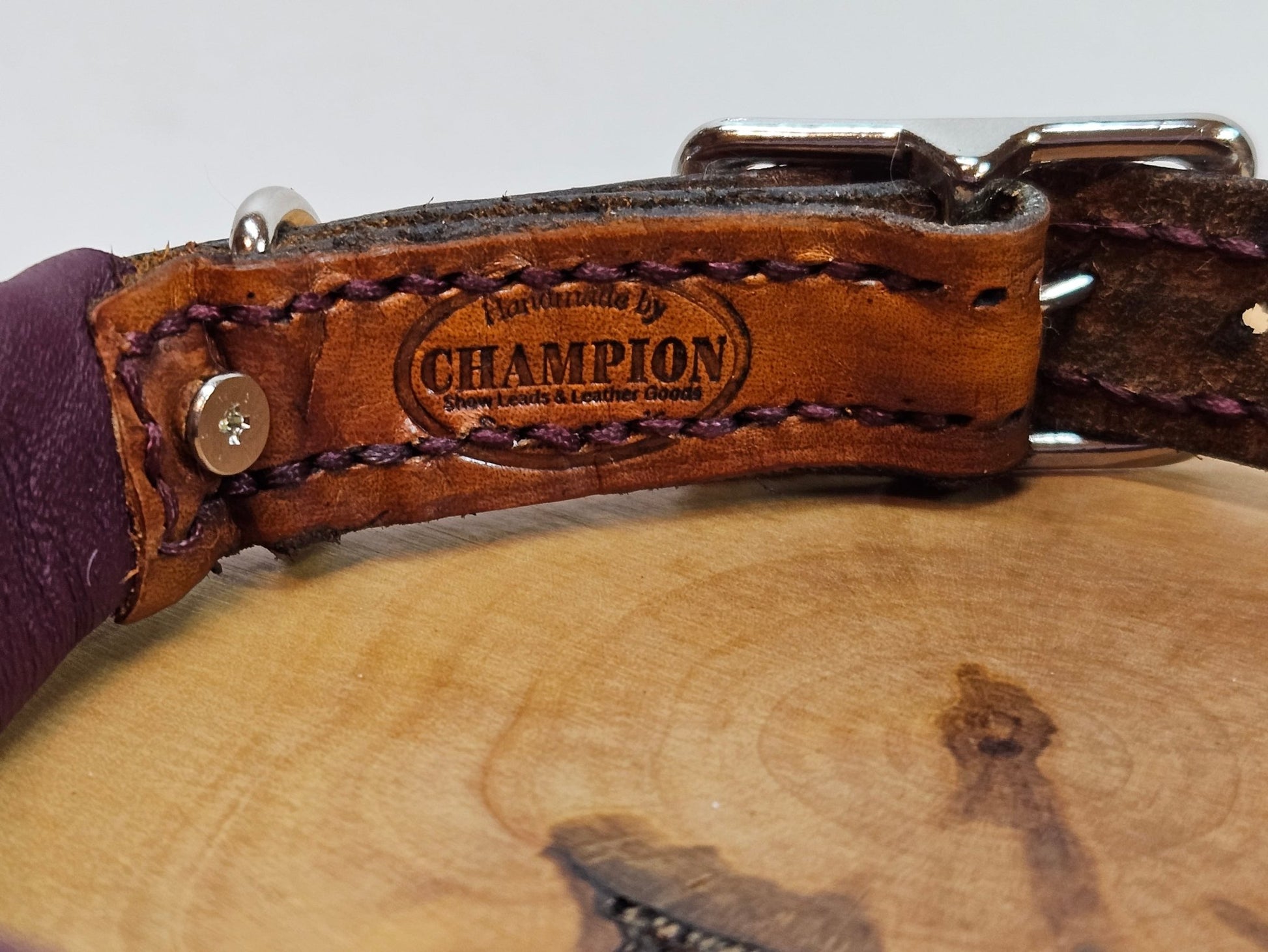Premade 14" Genuine Leather Collar - Padded - Champion Show Leads