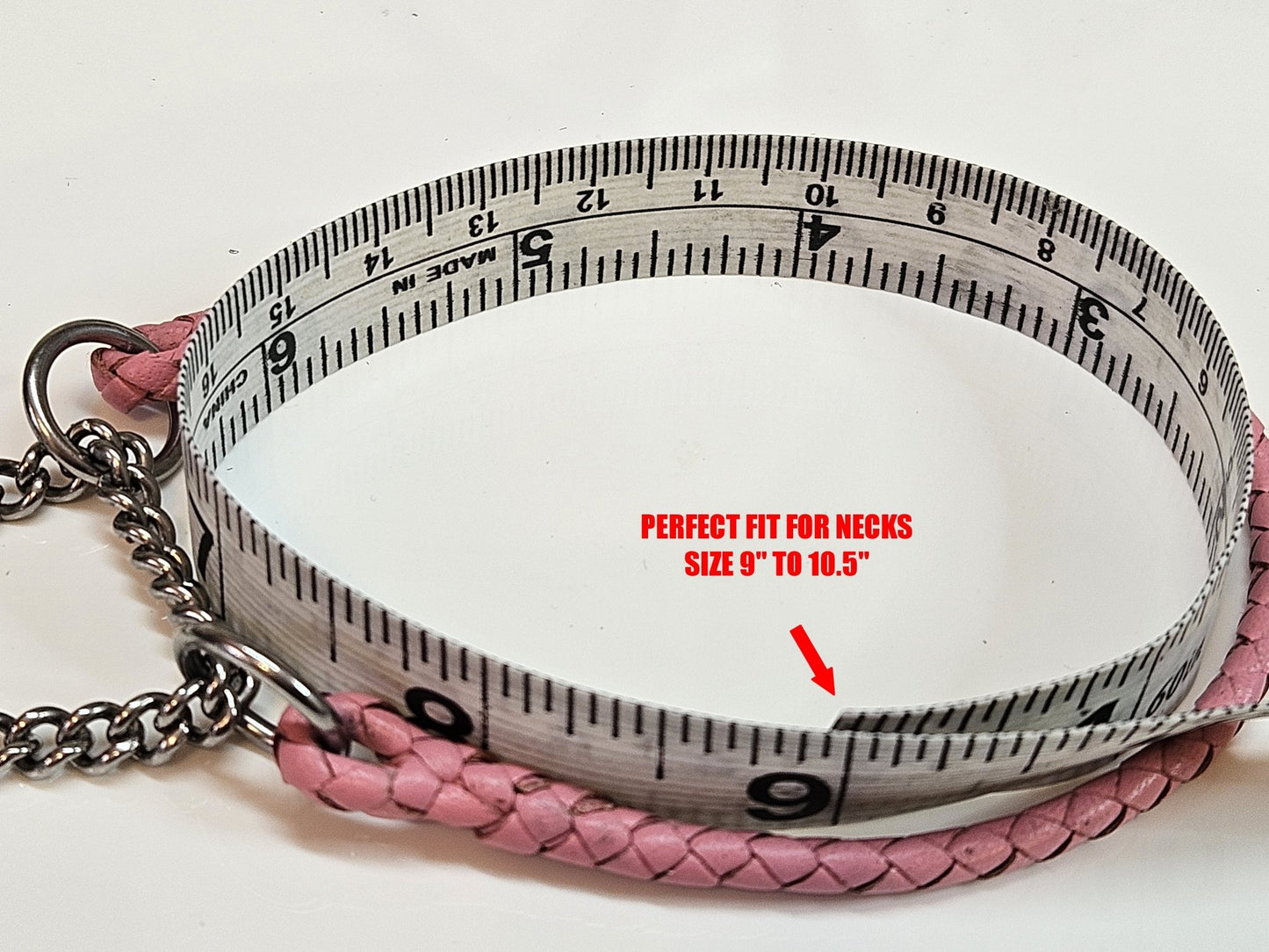 Premade Chain & Leather Martingale Show Collar - Champion Show Leads